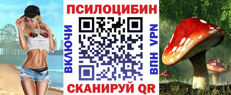 магазин    Вольск  Галлюциногенные грибы мицелий 