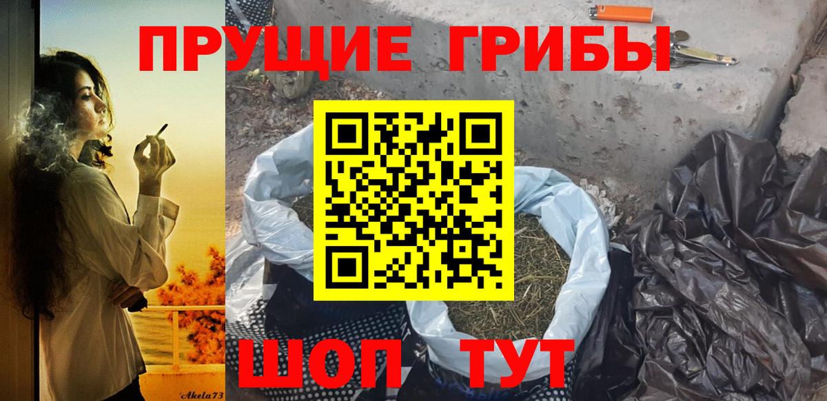 Псилоцибиновые грибы Psilocybe  Псилоцибиновые грибы мицелий  Вольск  Вход с VPN 